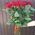 Bouquet of 25 red roses with ribbon - view 3