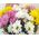 Bouquet with chrysanthemum - view 10