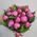 Peonies in a bouquet - view 4