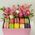 Gift box of macaroons and flowers - view 2