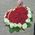 Roses in a basket in the shape of a heart - view 3