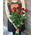 Bouquet of 11 roses - view 8