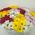 Bouquet of 15 chrysanthemums - view 2