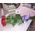 Red roses on a long leg - view 6