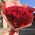 Bouquet of 25 red roses - wiev 5