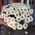 A chic bouquet of chamomiles - view 5