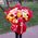 101 multi-colored rose bouquet - view 5
