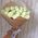 31 white rose - view 2