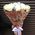Bouquet of 11 white roses 1