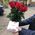 Bouquet of long roses 6