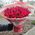 Bouquet of red spray roses 1