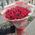 Bouquet of red spray roses 2