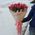Graceful bouquet of red tulips 2