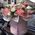 Happy birthday flowers in box1