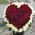 Heart of 101 roses 1