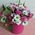 Live flowers in a box 12
