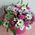 Live flowers in a box 13