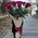 15 roses 1 meter 4