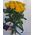 Bouquet of 11 yellow roses 8