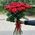 Bouquet of 25 red roses with ribbon 4