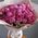 A small bouquet of pink roses 5