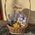 Gift basket of sweets 6