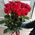 Roses on a long leg 4