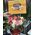 Roses in the shape of heart 1