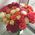 Bright bouquet roses 6