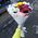 5 chrysanthemums bouquet 8