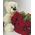 Bouquet 21 red rose 3
