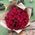 Bouquet 61 red rose 2