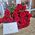 Beautiful bouquet of scarlet roses 5