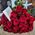 Beautiful bouquet of scarlet roses 6