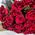 Beautiful bouquet of scarlet roses 7