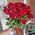 Beautiful bouquet of scarlet roses 8