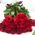 A bouquet of long roses 4
