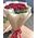 Bouquet of 11 roses 12