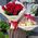 Bouquet of 25 red roses with ribbon 6