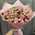 A small bouquet of pink roses 8