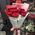 A small bouquet of imported roses 7