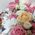 Wild flowers and sweets 4