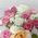 Wild flowers and sweets 5