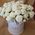 15 bush cream roses in a box 1