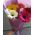 Bouquet of 5 gerberas 3