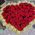Bouquet of roses with a heart 1