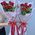 Simple bouquet of 7 roses 8