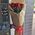 7 red import roses 6