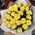 Bouquet with 25 yellow roses 3