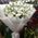 Delicate bouquet of white eustoma - 5